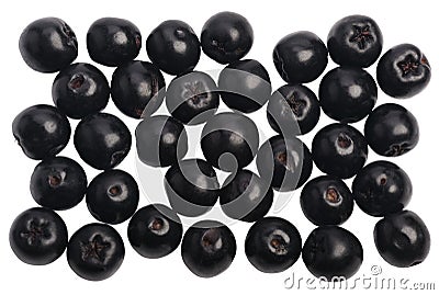 Several black officinal Ð¡hokeberry berries Stock Photo